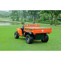 Manufacturer of Ce Certification 4 Wheel UTV Buggy